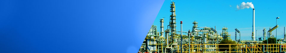 Delivering Performance Through Knowlesge, Technology & Experience