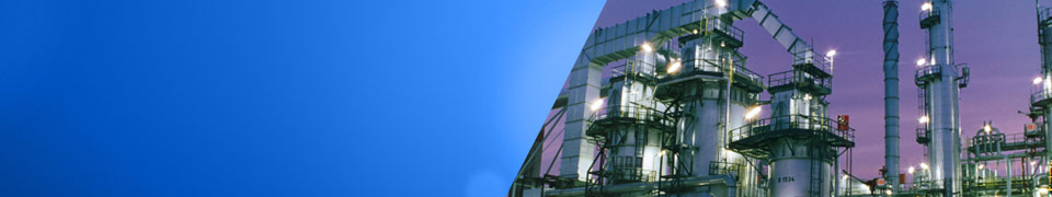 Delivering Performance Through Knowlesge, Technology & Experience